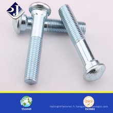 Jinrui Fastener Grade 8.8 Boulon de voie